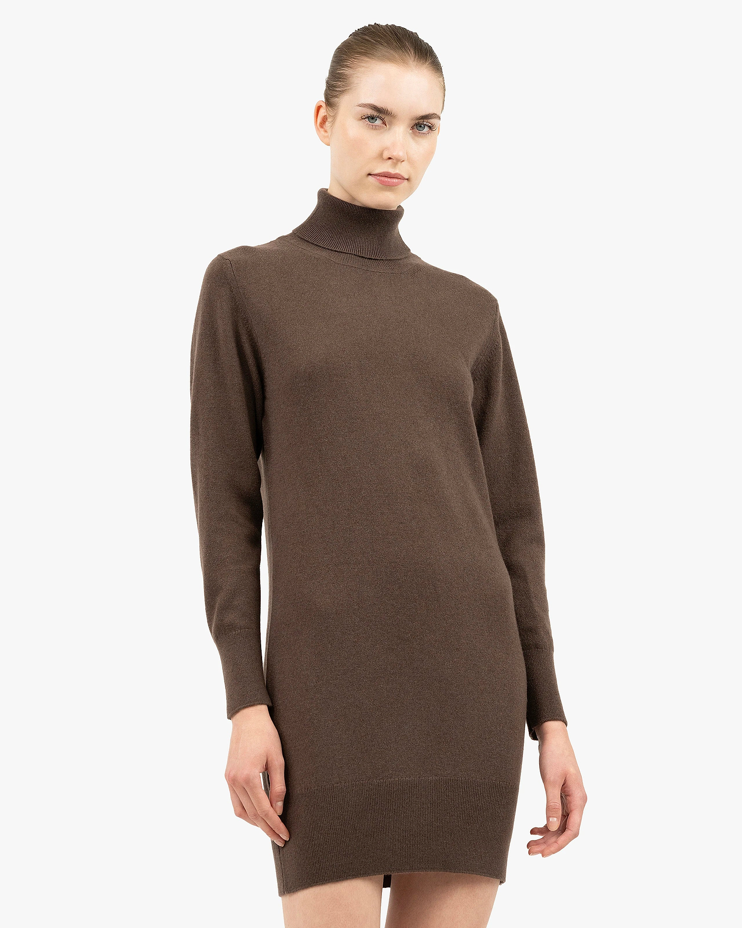 Florenz Turtleneck Dress - Brown Cashmere
