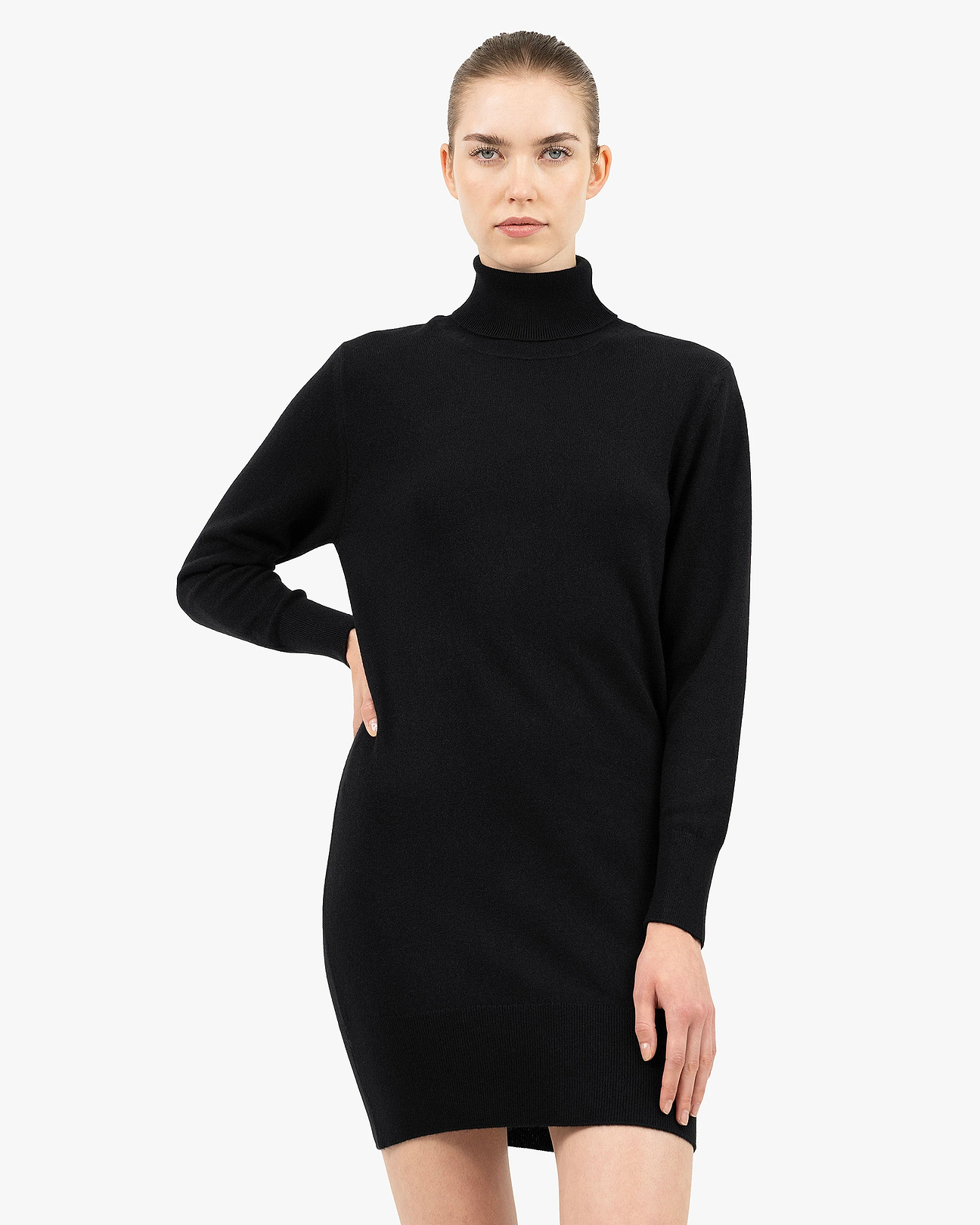 Florenz Turtleneck Dress - Black - Cashmere