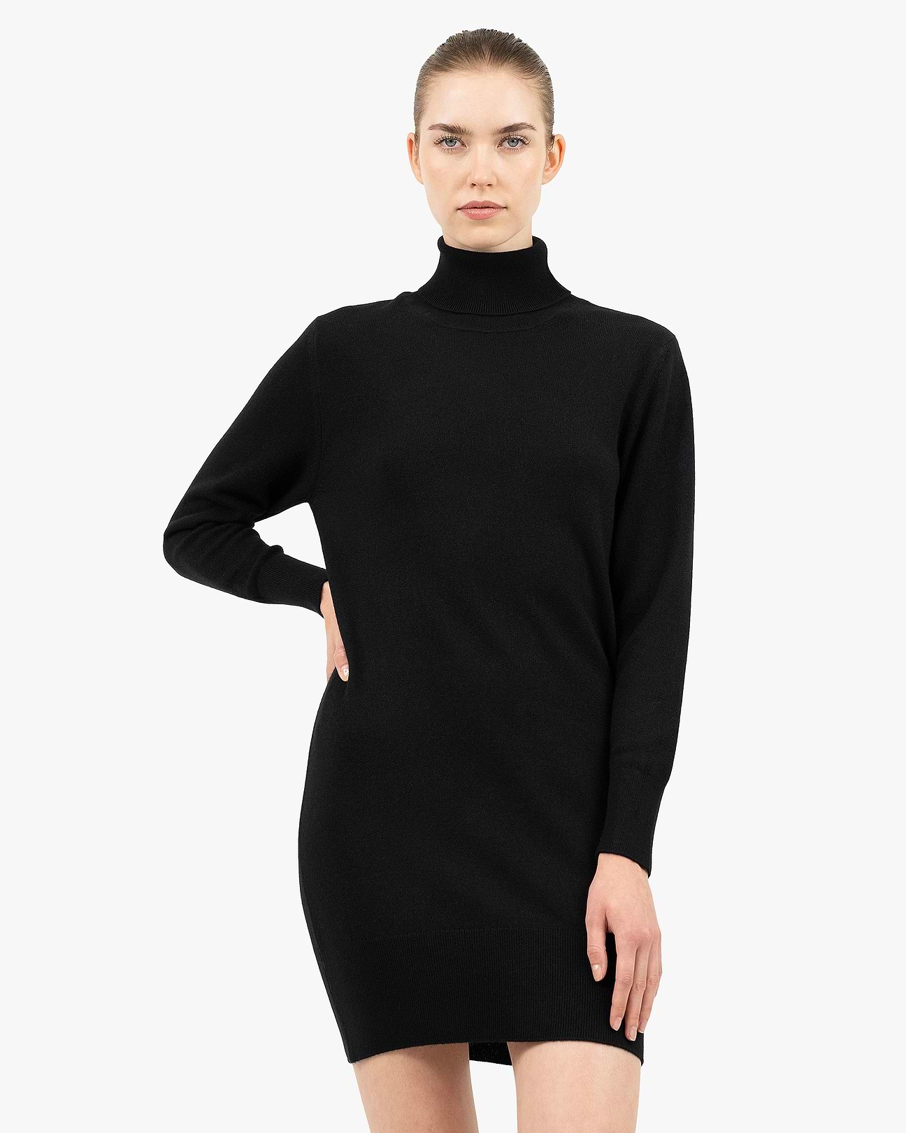 Florenz Turtleneck Dress - Black - Cashmere