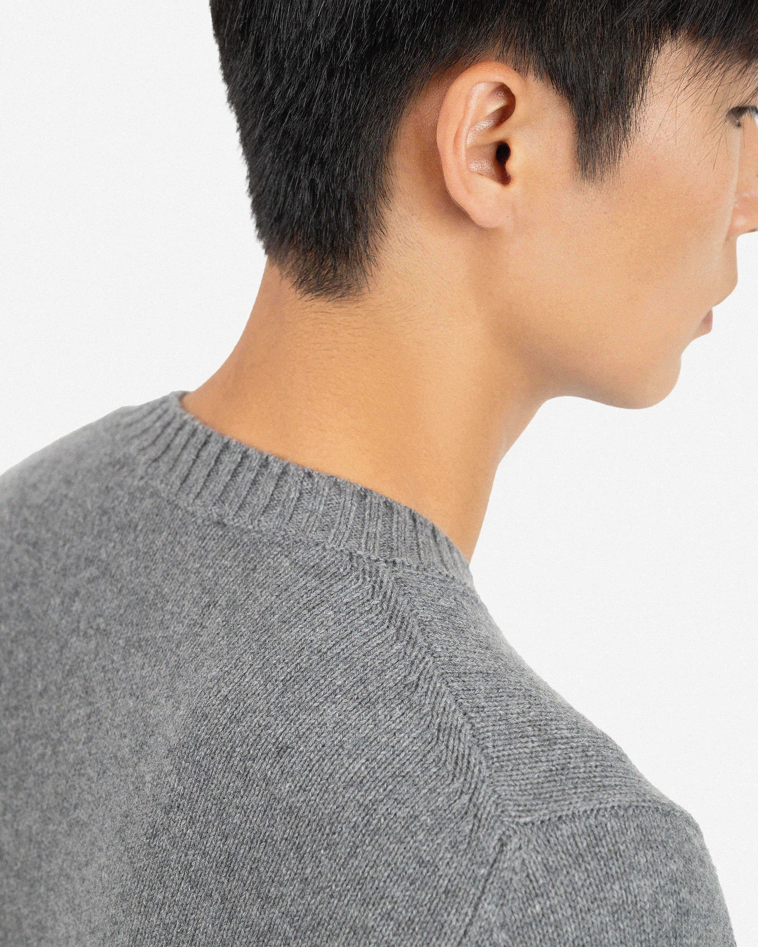 Men's Faloria Crew Neck Sweater - Grey Cashmere