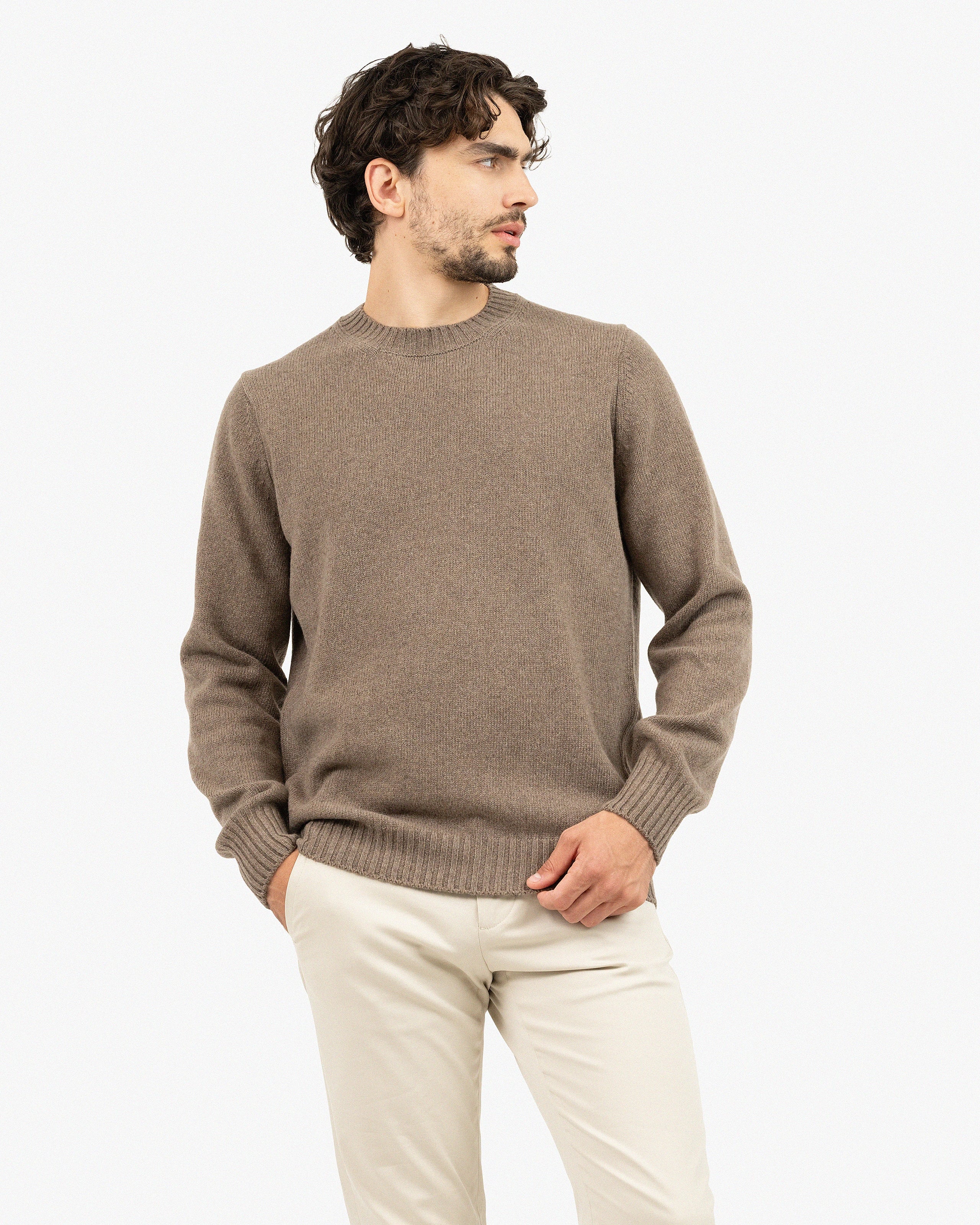 Men's Faloria Crew Neck Sweater - Brown Cashmere